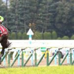 京都記念 2016 サトノクラウン