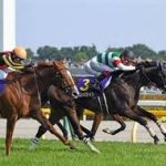 オークス　2016　シンハライト