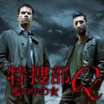 特捜部Q 檻の中の女 Kubinden i burst 2013 デンマーク製作 マグネット・コミュニケーション国内配給　★★☆