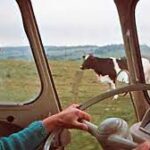 モンフォーコンの農婦 FERMIERE A MONTFAUCON 1967 ロサンジュ製作 - エリック-・ロメール監督のドキュメンタリー