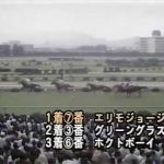 エリモジョージ物語3 （宝塚記念 1978）