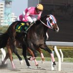 かしわ記念 2015 ワンダーアキュート