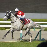 有馬記念　2015　レース予想