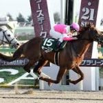 フェブラリーS　2016　モーニン