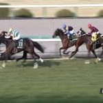 チューリップ賞　2016　シンハライト