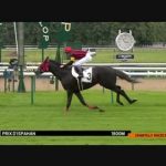 フランス・イスパーン賞　2016　エイシンヒカリ10馬身圧勝