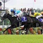 秋華賞 2016 ヴィブロス