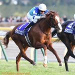 ジャパンカップ 2017 シュヴァルグラン