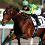 有馬記念 2016 サトノダイヤモンド
