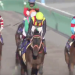 チャンピオンズC 2017 ゴールドドリーム