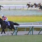 朝日杯FS（フューチュリティ・ステークス） 2017 ダノンプレミアム