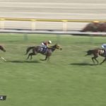 オークス 2018 アーモンドアイ （東京競馬場）横綱相撲だった