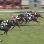 安田記念 2018 モズアスコット （東京競馬場芝1600m良）1989年バンブーメモリーに続いて連闘で重賞初制覇