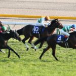 天皇賞・秋 2018 レイデオロ - 昨年のダービー馬がクラシック馬対決を制す