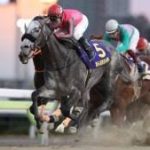 東京大賞典 2018 オメガパフューム - またまたデムルメ馬券だ -