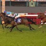有馬記念 2018 唯一の三歳馬ブラストワンピースがハイペースに乗って有力古馬勢をなで切り