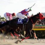フェブラリーS　（GI）2019 インティ 快速馬が武豊を鞍上に逃げ切る！