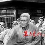 生きものの記録 1955  東宝製作・配給 黒澤明「七人の侍」の次回作！★★